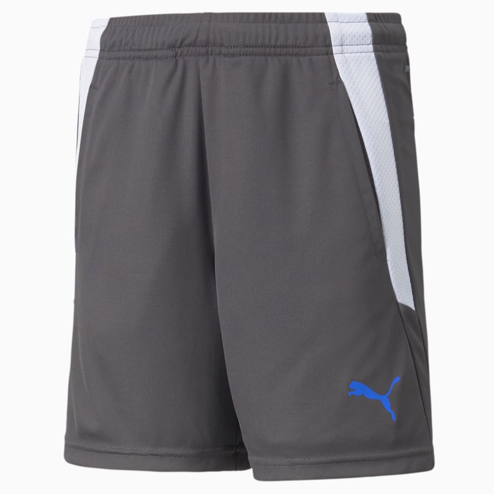 фото Детские шорты teamliga training youth football shorts 2 puma