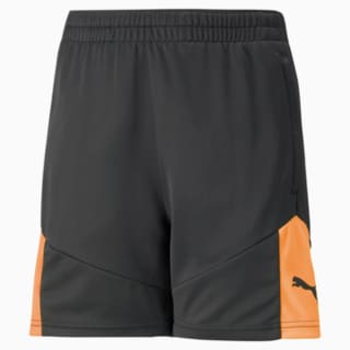 Изображение Puma Детские шорты individualFINAL Youth Football Shorts