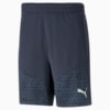 Image Puma teamCUP Football Training Shorts Men #6