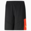 Изображение Puma Шорты individualFINAL Football Training Shorts Men #1: Puma Black-Fiery Coral