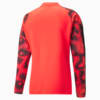 Image Puma individualFINAL Football WC Quarter-zip Top Men #7