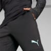 Image Puma individualCUP Football Training Pants Men #3