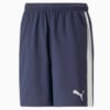 Image Puma teamLIGA Shorts Men #6