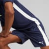 Image Puma teamLIGA Shorts Men #4