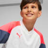 Изображение Puma Футболка individualCUP Youth Football Jersey #4: PUMA White-Fire Orchid