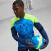 Image Puma individualCUP Football Quarter-zip Top #1