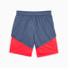 Image Puma individualCUP Football Shorts #5