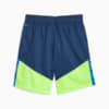 Image Puma individualCUP Football Shorts #5