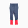 Imagen PUMA Pantalones individualCUP de training de fútbol para hombre #7