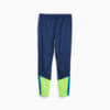 Изображение Puma Штаны individualCUP Men’s Football Training Pants #7: Persian Blue-Pro Green