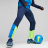 Image Puma individualCUP Football Training Pants #1