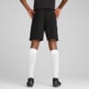 Зображення Puma Шорти teamCUP Football Shorts Men #2: PUMA Black-PUMA Silver-Flat Dark Gray