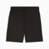 Изображение Puma Шорты individualFINAL Men's Football Shorts #7: Puma Black-Sun Stream