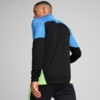 Зображення Puma Лонгслів individualFINAL Quarter-Zip Top Men #4: PUMA Black-Fizzy Apple