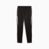 Image PUMA Calça Treino individualLIGA Training Masculina #7