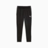 Image PUMA Calça Treino individualLIGA Training Masculina #6