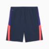 Изображение Puma Шорты individualLIGA Training Shorts Men #5: Club Navy