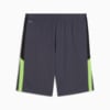 Image PUMA Shorts Training individualLIGA Masculina #5