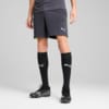 Image PUMA Shorts Training individualLIGA Masculina #1
