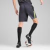 Image PUMA Shorts Training individualLIGA Masculina #2