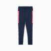 Зображення Puma Штани individualFINAL Training Pants Men #7: Club Navy-Dark Amethyst