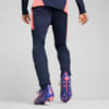 Зображення Puma Штани individualFINAL Training Pants Men #4: Club Navy-Dark Amethyst