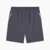Изображение Puma Шорты individualCUP Football Shorts Men #6: Galactic Gray