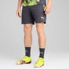 Изображение Puma Шорты individualCUP Football Shorts Men #1: Galactic Gray