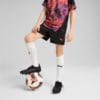 Изображение Puma Детские шорты individualCUP Football Shorts Youth #1: Puma Black