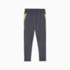 Зображення Puma Штани IndividualCUP Football Pants Men #7: Galactic Gray