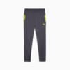 Зображення Puma Штани IndividualCUP Football Pants Men #6: Galactic Gray