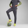 Зображення Puma Штани IndividualCUP Football Pants Men #1: Galactic Gray