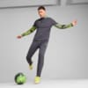 Зображення Puma Штани IndividualCUP Football Pants Men #3: Galactic Gray