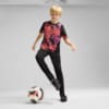 Изображение Puma Детские брюки individualCUP Football Pants Youth #3: Puma Black