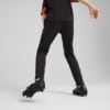 Изображение Puma Детские брюки individualCUP Football Pants Youth #4: Puma Black