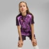 Изображение Puma Детская футболка individualBLAZE Football Jersey Youth #1: Midnight Plum