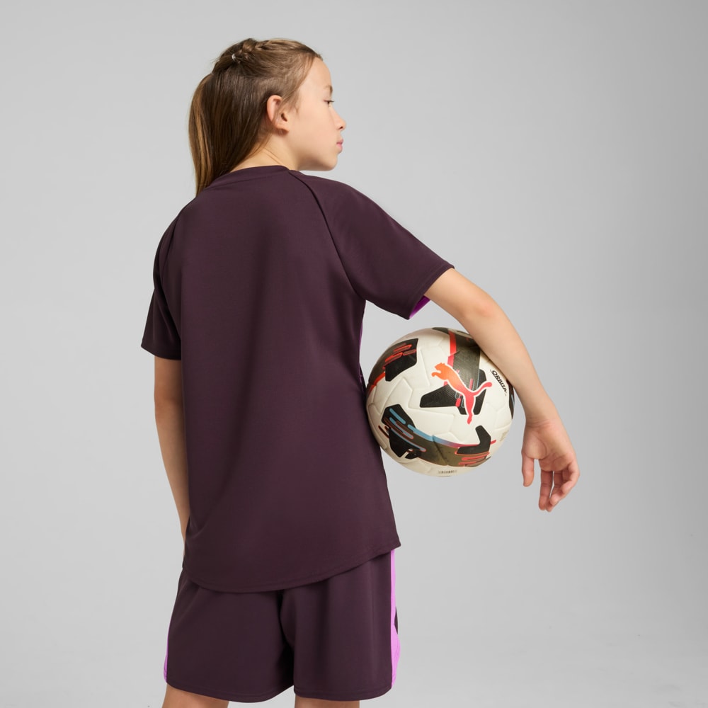 Изображение Puma Детская футболка individualBLAZE Football Jersey Youth #2: Midnight Plum