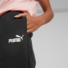 Изображение Puma Штаны Essentials+ Embroidery Pants Women #3: Puma Black