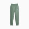 Зображення Puma Штани Essentials+ Embroidery Pants Women #6: Eucalyptus