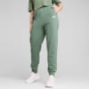 Зображення Puma Штани Essentials+ Embroidery Pants Women #1: Eucalyptus