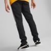 Image Puma Evostripe Pants Youth #4