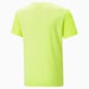 Изображение Puma Детская футболка Active Sports CAT Poly Tee Youth #6: Lime Squeeze