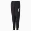 Зображення Puma Дитячі спортивні штани Alpha Sweatpants Youth #6: Puma Black