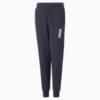 Изображение Puma Детские спортивные штаны Alpha Sweatpants Youth #5: Parisian Night