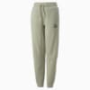 Зображення Puma Дитячі спортивні штани Classics Matchers Sweatpants Youth #1: Pebble Gray