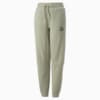 Изображение Puma Детские спортивные штаны Classics Matchers Sweatpants Youth #1: Pebble Gray