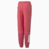 Зображення Puma Дитячі штани Power Colourblock Pants Youth #2: Salmon