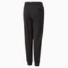 Image Puma Essentials+ Two Tone Logo Youth Pants #6