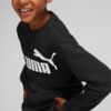 Зображення Puma Дитячий спортивний костюм No. 1 Logo Sweat Suit Youth #4: Puma Black