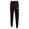 Изображение Puma Штаны Tape French Terry Pants CL Men #1